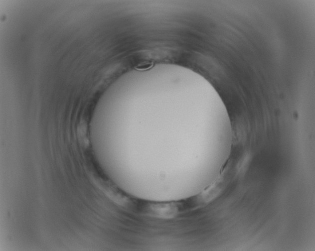 X0000074310187200609081951