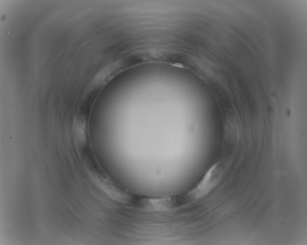 X0000074310188200609081951