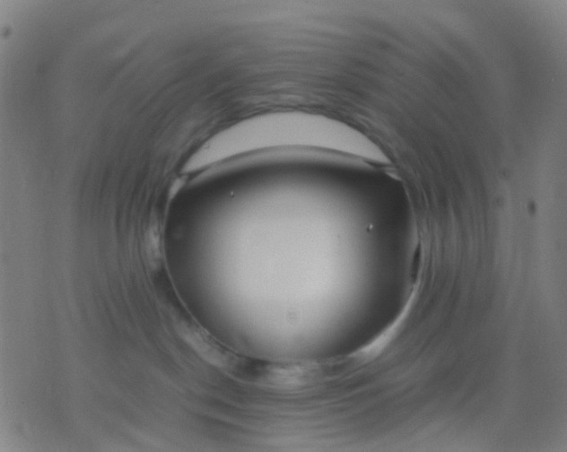 X0000074310190200609081951