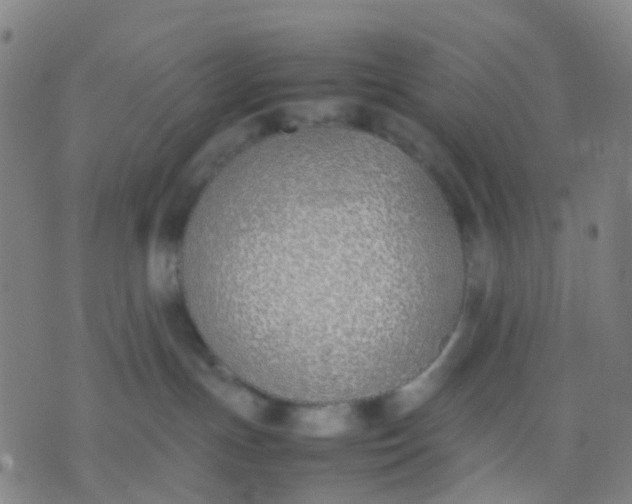 X0000074310191200609081951