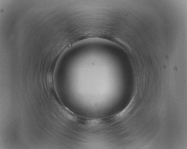 X0000074310192200609081951