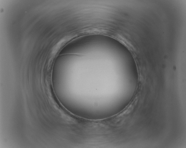 X0000074310193200609081950