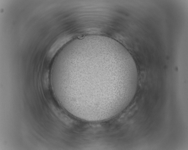 X0000074310194200609081950