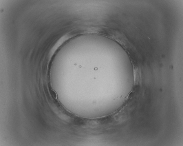 X0000074310195200609081950