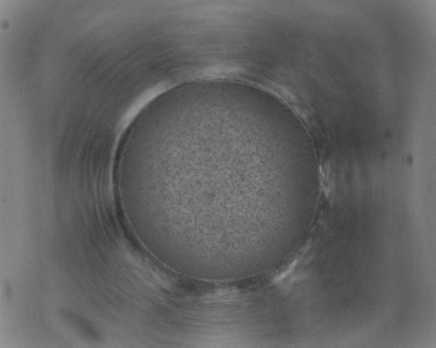 X0000074310196200609081950