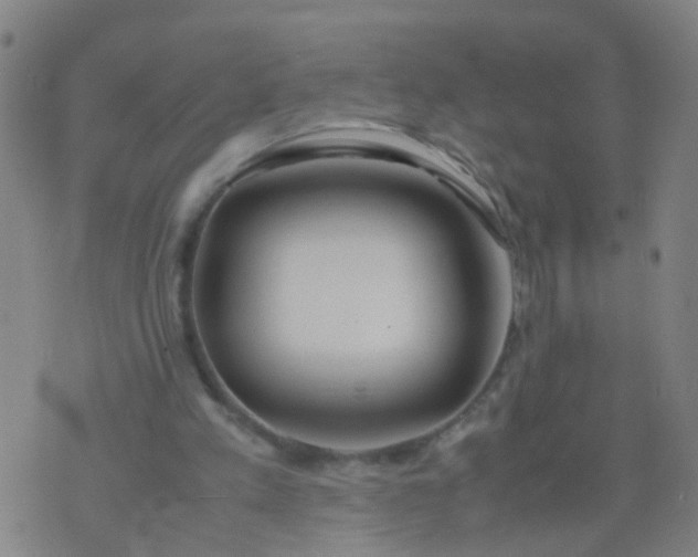 X0000074310197200609081950