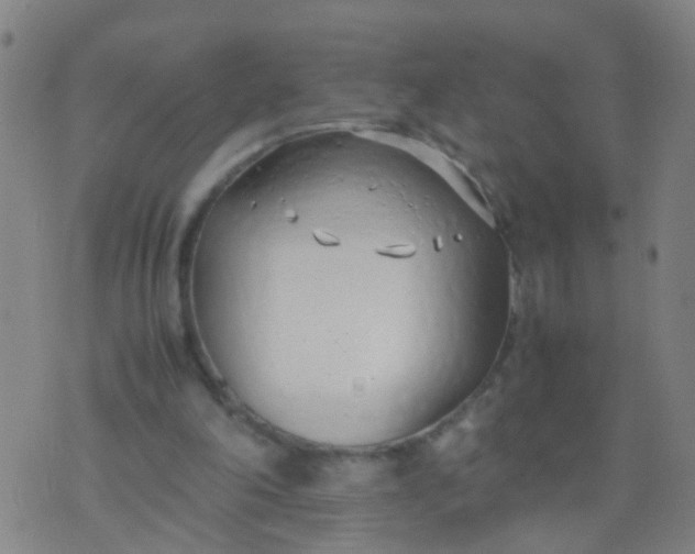 X0000074310198200609081950