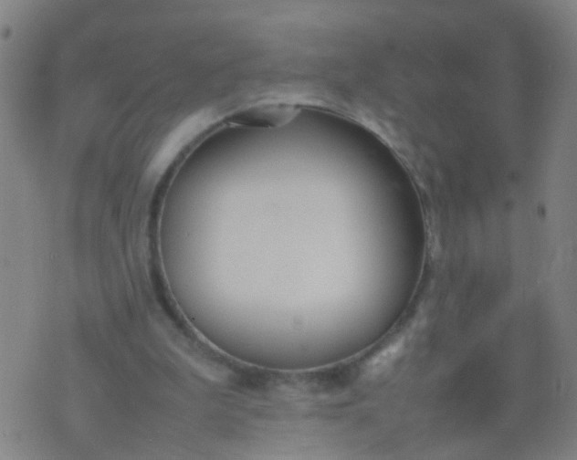 X0000074310199200609081950