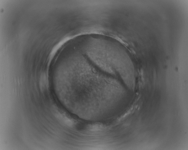 X0000074310200200609081950