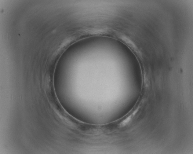 X0000074310201200609081950