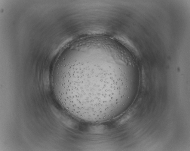 X0000074310202200609081950