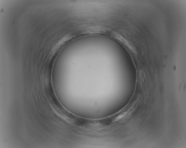 X0000074310203200609081950