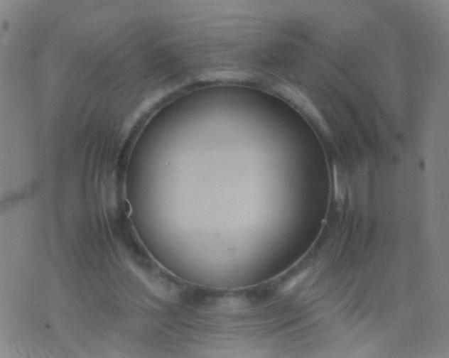 X0000074310204200609081950