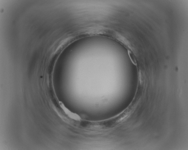 X0000074310205200609081950