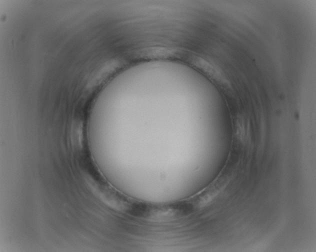 X0000074310206200609081950