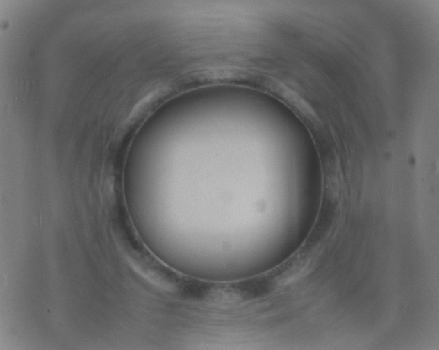 X0000074310207200609081950