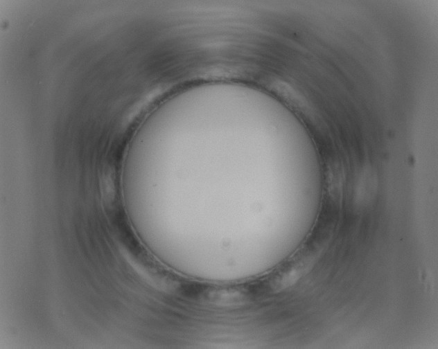 X0000074310208200609081950