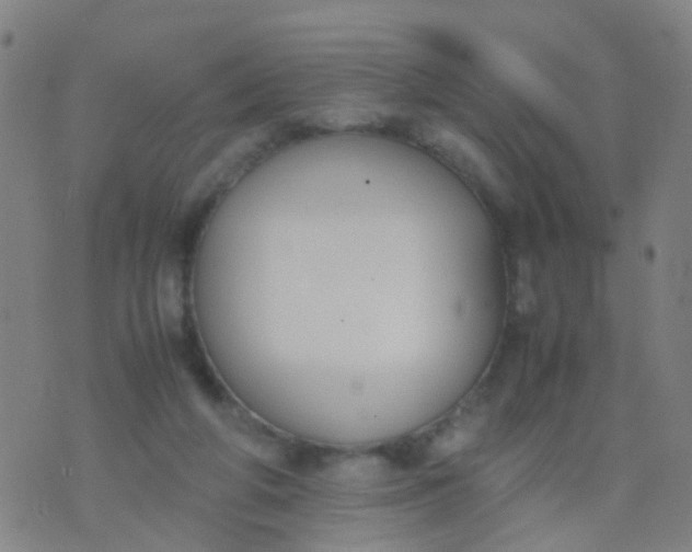 X0000074310210200609081950