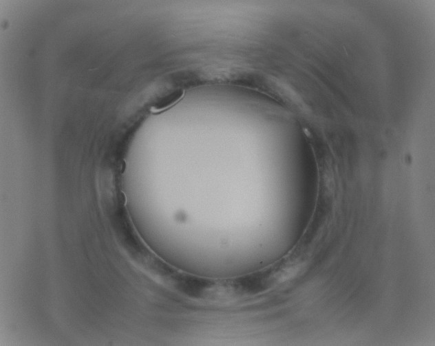 X0000074310211200609081950