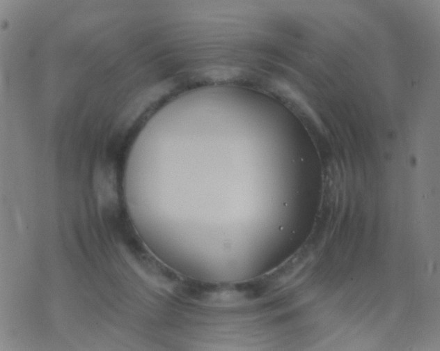 X0000074310212200609081950