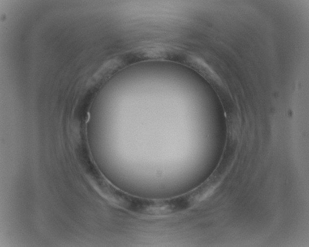 X0000074310213200609081950