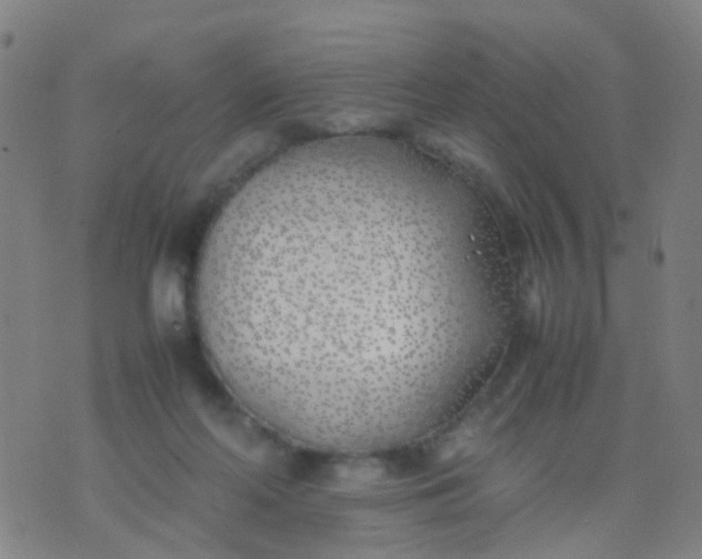 X0000074310214200609081950