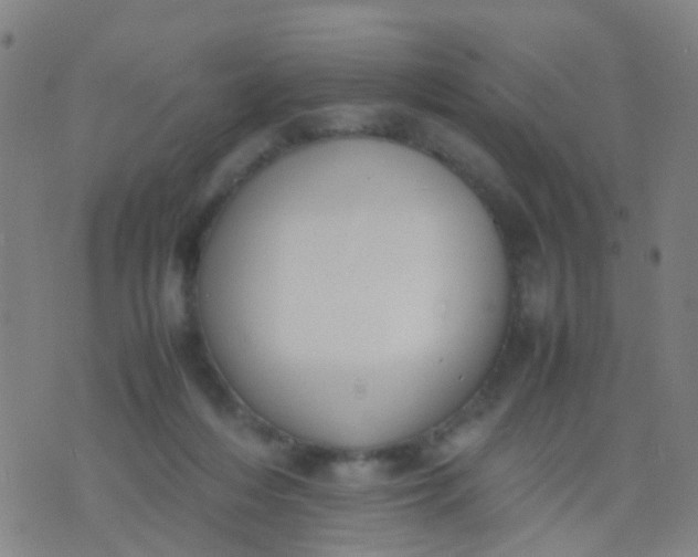 X0000074310216200609081950