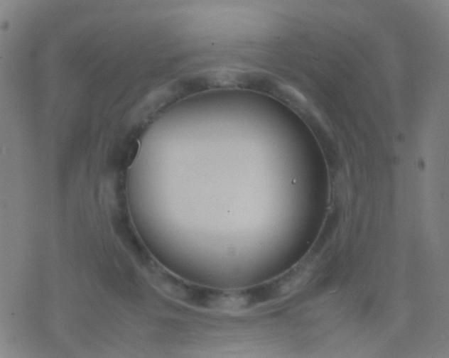 X0000074310217200609081950