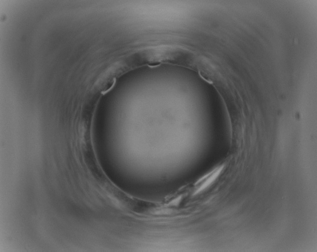 X0000074310219200609081950