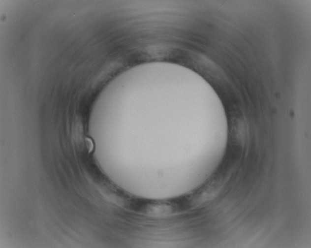 X0000074310220200609081950