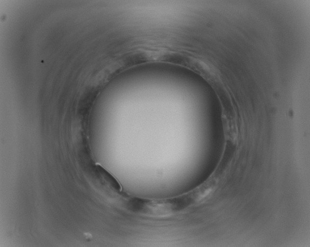 X0000074310221200609081950