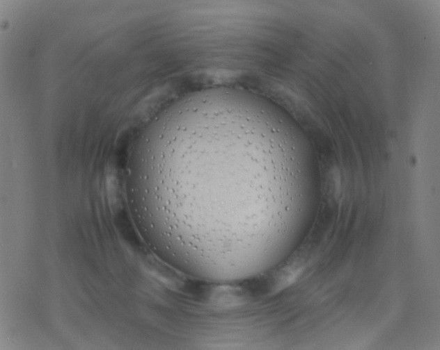 X0000074310222200609081950