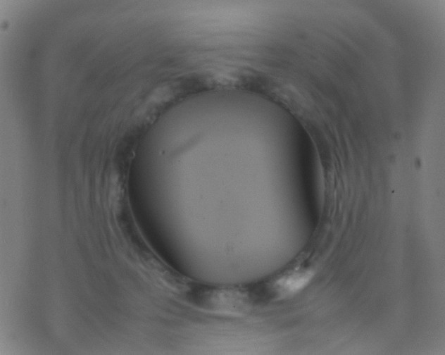 X0000074310223200609081950