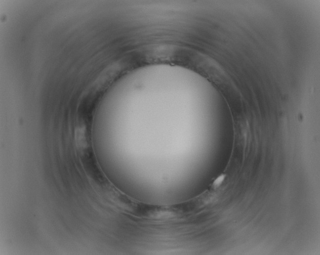 X0000074310224200609081950