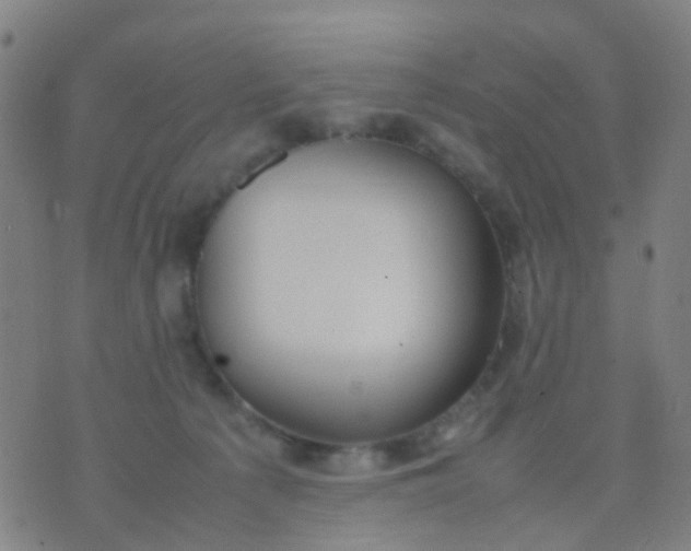 X0000074310225200609081950