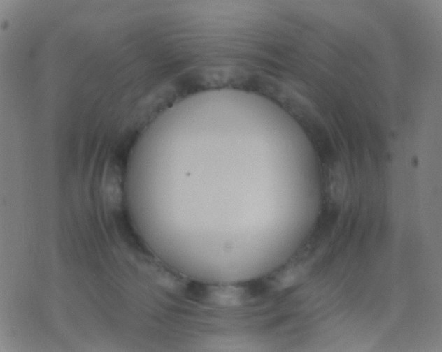 X0000074310226200609081950