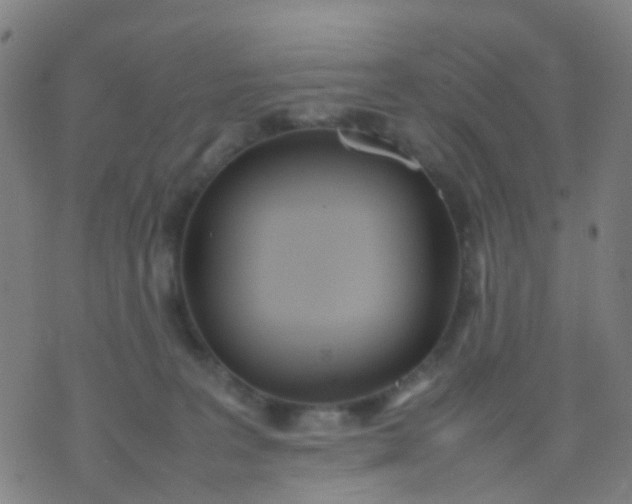 X0000074310227200609081950