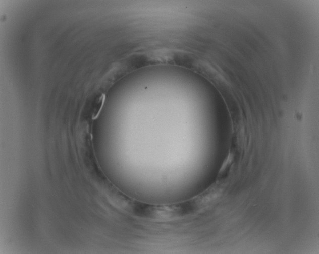 X0000074310229200609081950