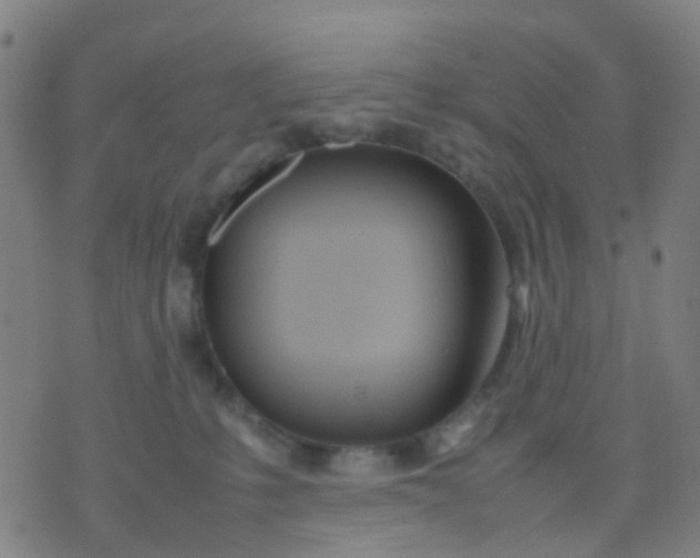 X0000074310231200609081950