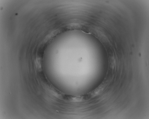 X0000074310232200609081950