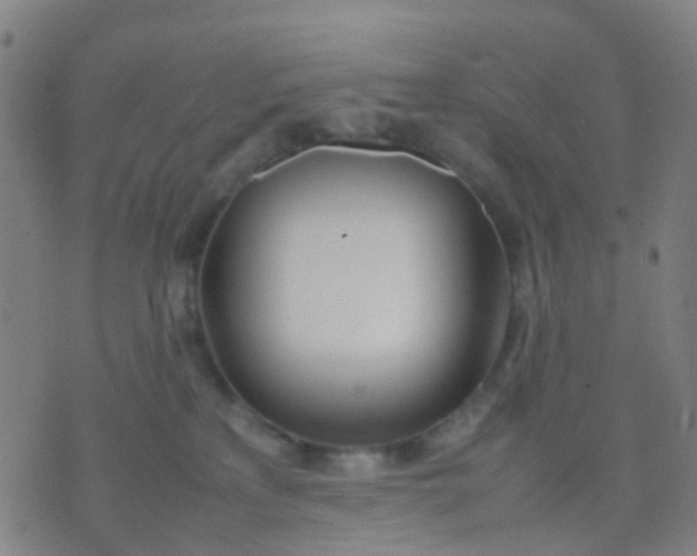 X0000074310233200609081950