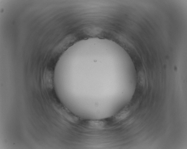 X0000074310234200609081950