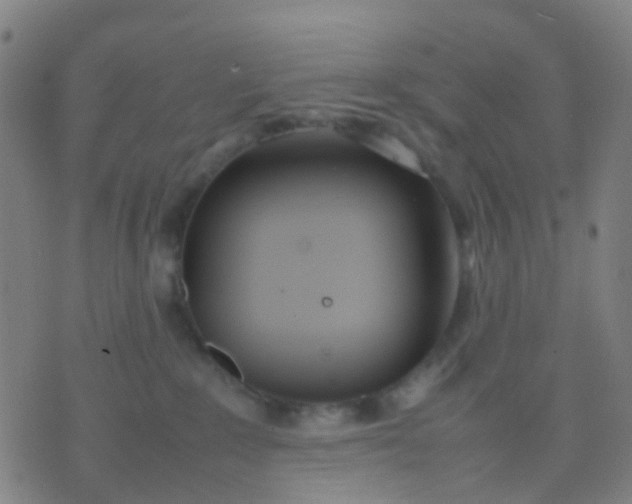 X0000074310235200609081950