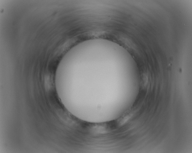 X0000074310236200609081950