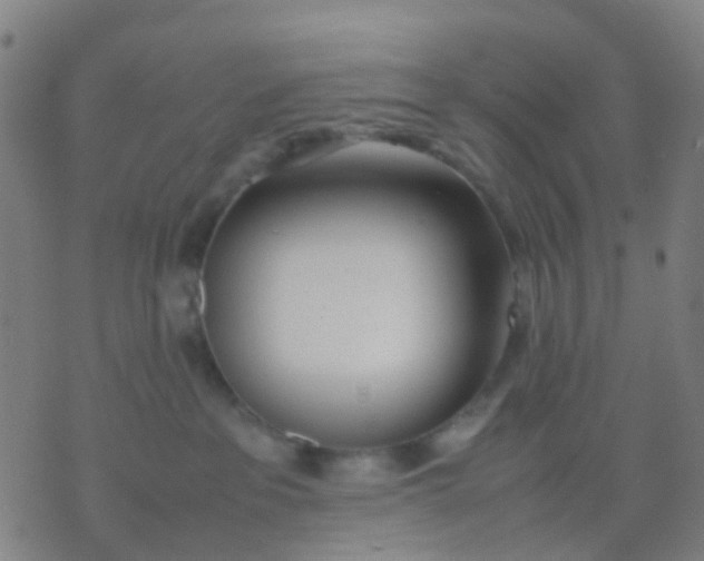 X0000074310237200609081950