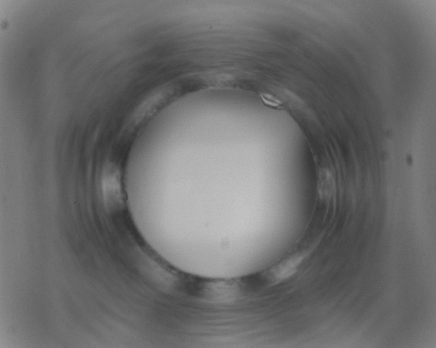 X0000074310238200609081950