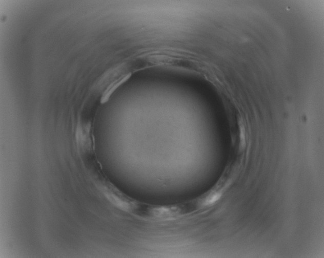 X0000074310239200609081950