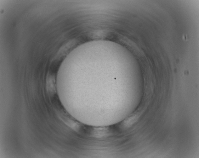 X0000074310240200609081950