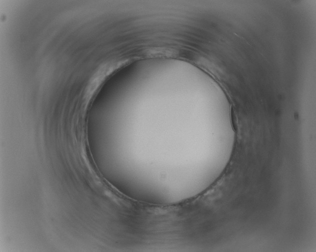 X0000074310241200609081949