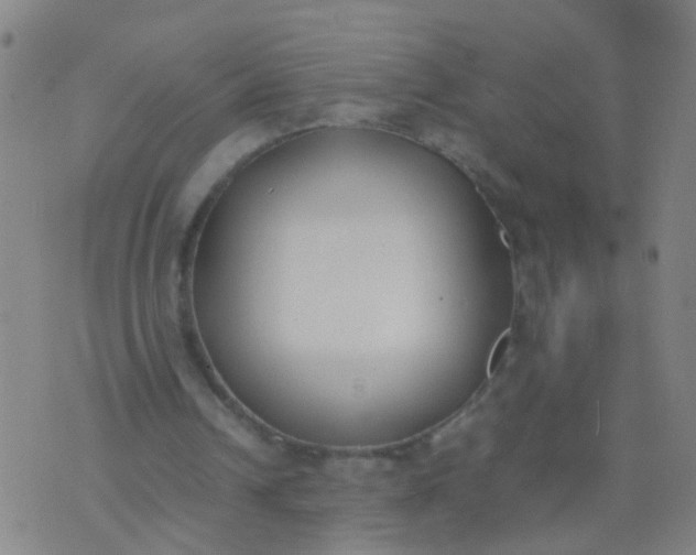 X0000074310242200609081949